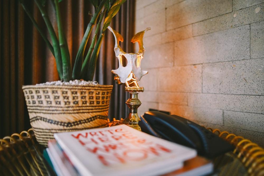 The Slow Hotel Canggu (Bali)